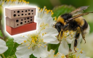 Brick bee houses. A great way to support local wildlife populations often threatened by habitat loss.