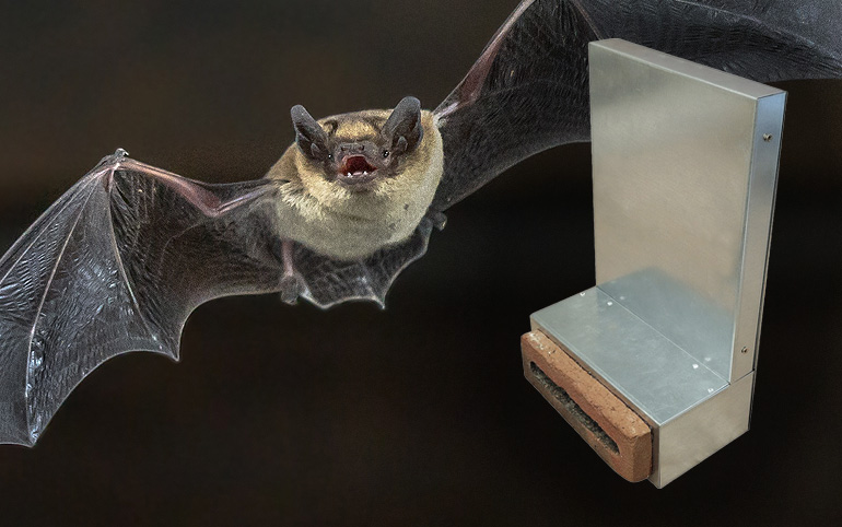 The Apex Nocti Bat Brick Eco-Habitat