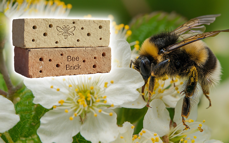 Brick bee houses. A great way to support local wildlife populations often threatened by habitat loss.