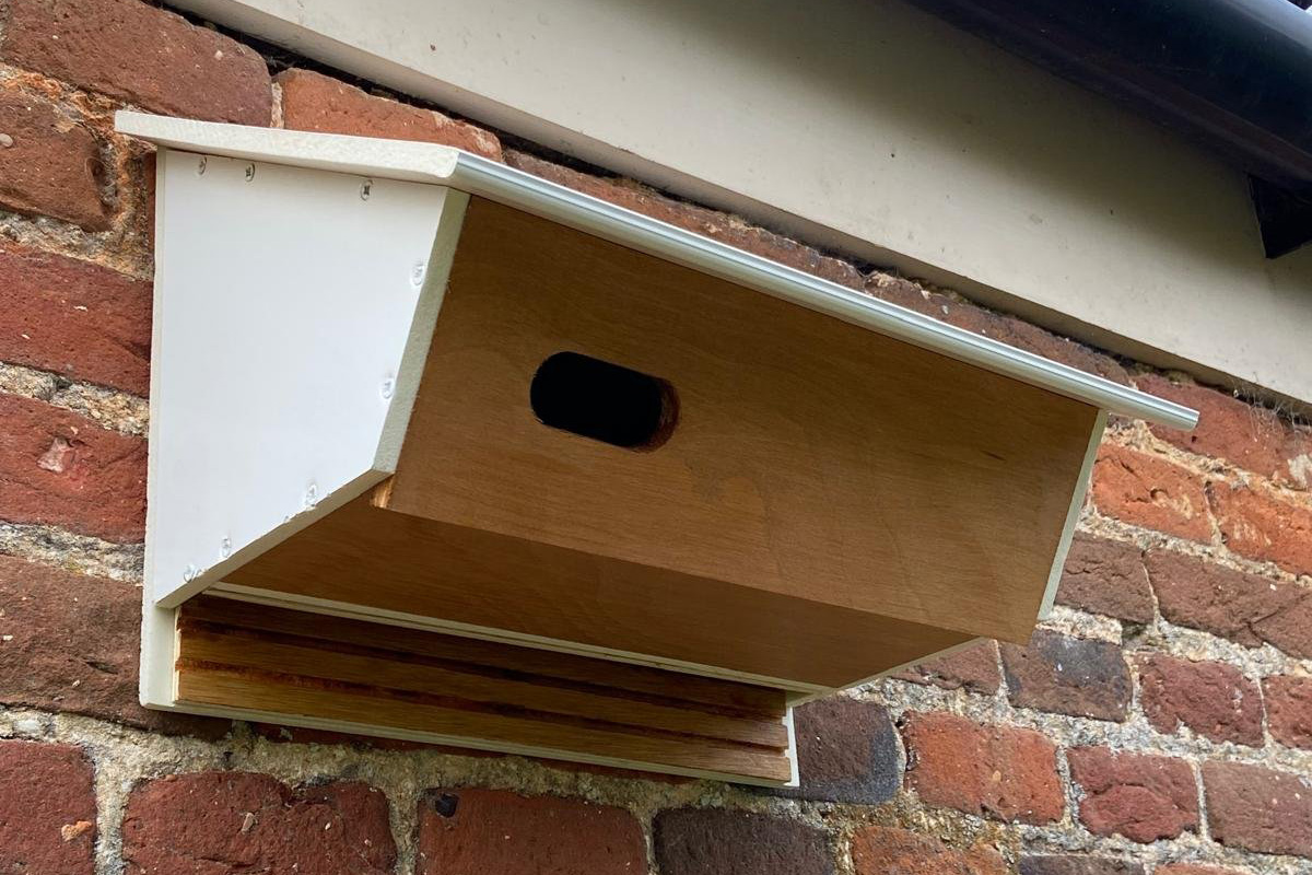The Apex Bird and Bat Combi